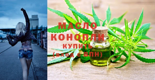 молекула духа Сатка